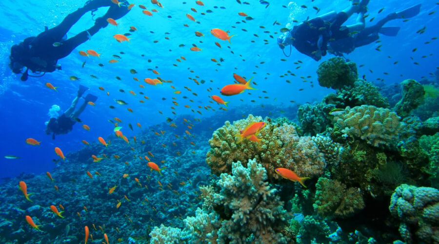 Andaman Tour Packages